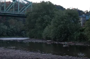 Kiskiminetas River